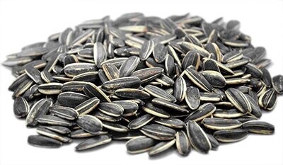 iO Grey Stripe Sunflower Seed 15 kg