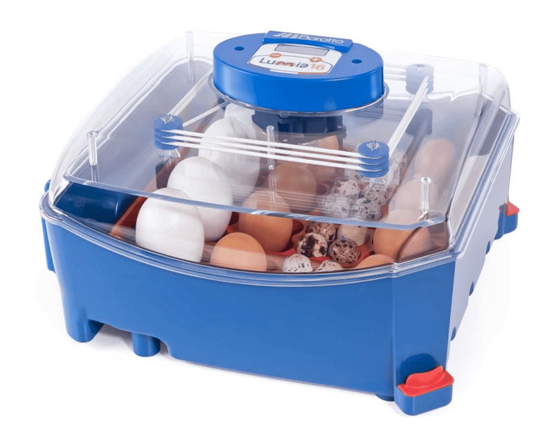 Borotto Incubator Lumia 16 Automatic
