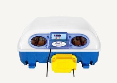 BOROTTO REAL 49 INCUBATOR - AUTOMATIC