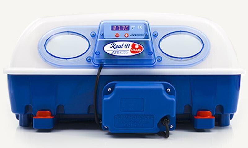 BOROTTO REAL 49 PLUS INCUBATOR - AUTOMATIC