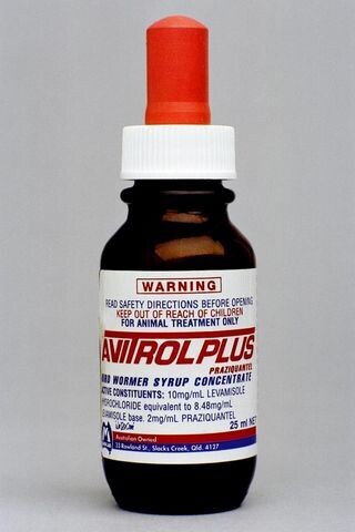 Avitrol Plus Bird Worming Syrup   25 ml & 100 ml