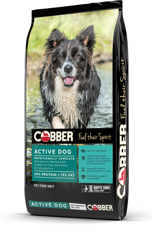 Cobber Active Dog   20 kg