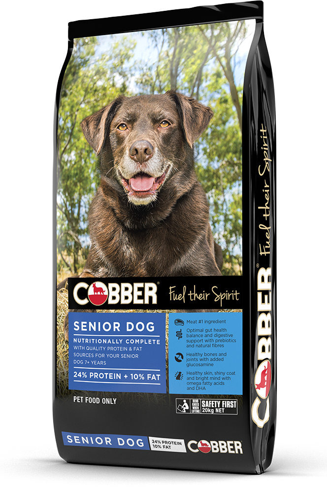 Cobber Senior Dog 20 kg