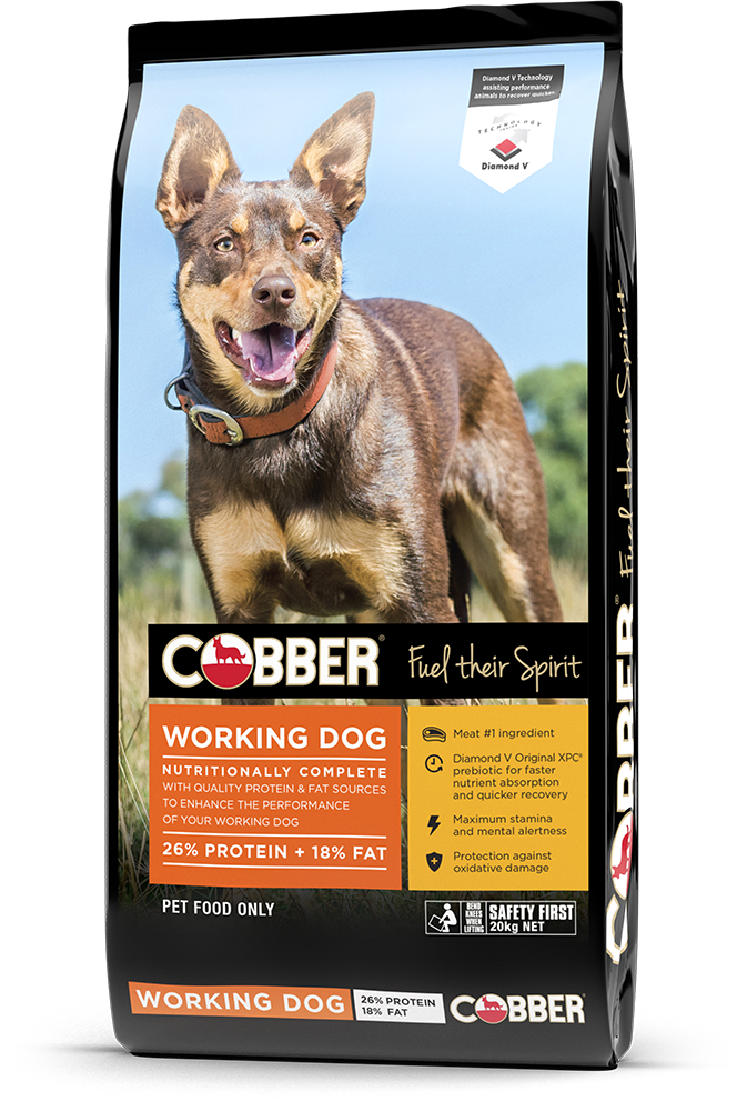 Cobber Working Dog 20 kg