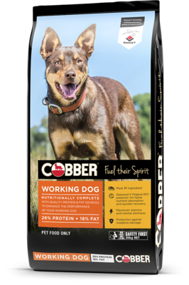 Cobber Working Dog 20 kg