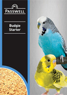 Passwell Budgie Starter 500 grams , 1 kg and 5 kg