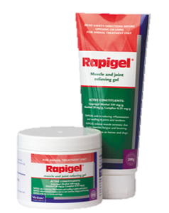 Virbac Rapigel  - 200 gram Squeeze Tub & 250 gram Tube