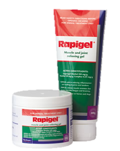 Virbac Rapigel - 200 gram Squeeze Tub & 250 gram Tube