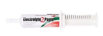 Value Plus Electrolyte 2 Paste for Horses 60 ml
