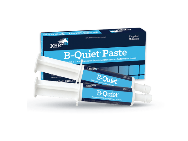 KER B-Quiet Paste 2 x 30 grams