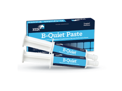 KER B-Quiet Paste 2 x 30 grams