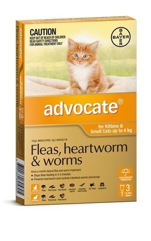 Advocate Cat 0 - 4 kg Small  -  1 pack , 3 pack  & 6 pack