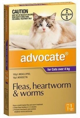 Advocate Cat 4 kg Plus Large - 1 pack , 3 pack & 6 pack