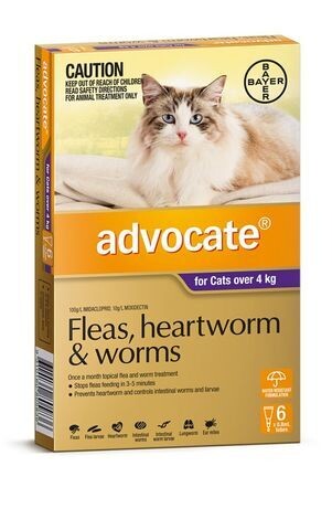 Advocate Cat 4 kg Plus Large -  6 pack