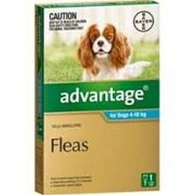 Advantage Dog 4-10kgs Medium  -  1 pack , 4 pack &  6 pack