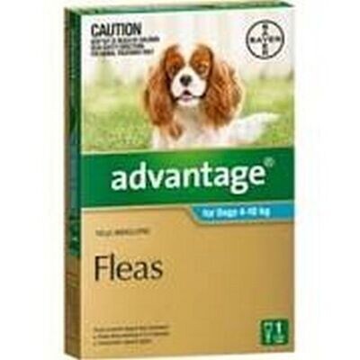 Advantage Dog 4-10kgs Medium - 1 pack , 4 pack & 6 pack