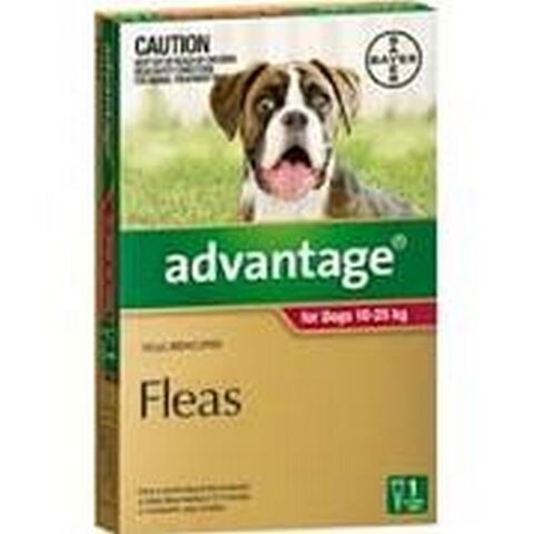Advantage Dog 10-25kgs Large  -  1 pack , 4 pack &  6 pack