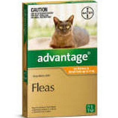 Advantage Cat 0-4kgs Small - 1 pack , 4 pack & 6 pack