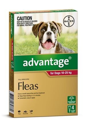 Advantage Dog 10-25 kgs Large  -   4 pack