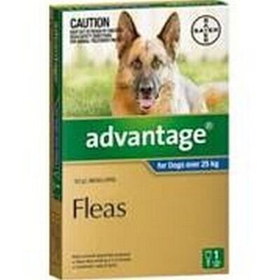 Advantage Dog 25kg Plus Xtra Large - 1 pack , 4 pack & 6 pack