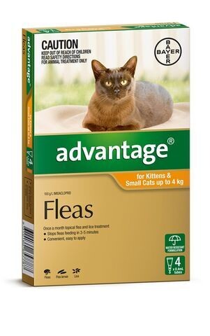 Advantage Cat 0-4 kgs Small  -  4 pack