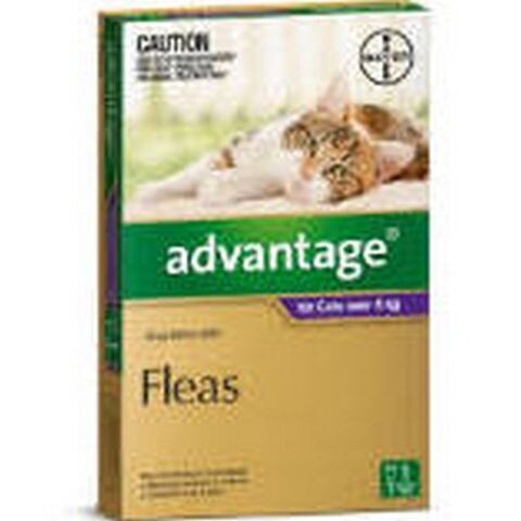 Advantage Cat 4kgs Plus Large -  1 pack , 4 pack & 6 pack