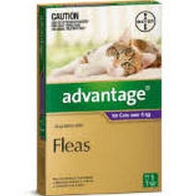 Advantage Cat 4kgs Plus Large - 1 pack , 4 pack & 6 pack