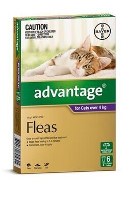 Advantage Cat 4 kgs Plus Large -  6 pack