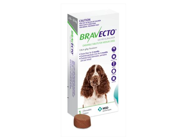 Bravecto Chew Dog Medium 10 - 20 kg  -  1 pack & 2 pack