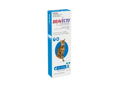 Bravecto Spot On Cat  1 tube  - 2.8 kg - 6.25