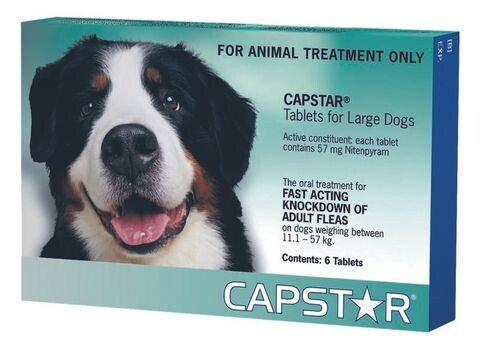 Capstar 11 kg - 57 kg  -  6 Pack