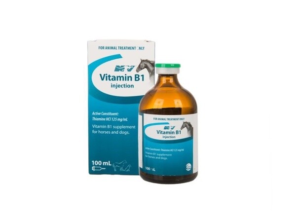 Nature Vet Vitamin B1 Injection  -  100 ml