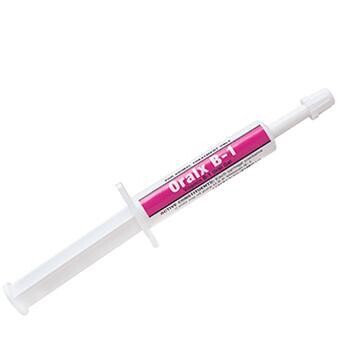 Oralx B-1   6 mL
