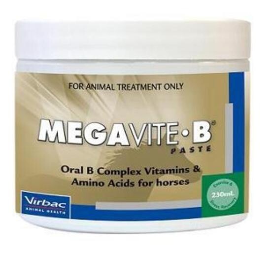 Virbac Megavite B higher energy recovery paste for horses  230 ml