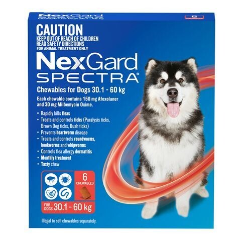 NexGard Spectra for Dogs – All-in-One Flea, Tick & Worm Treatment 30.1 kg - 60 kg - 6 pack NexGard Spectra for Dogs – All-in-One Flea, Tick & Worm Treatment 30.1 kg - 60 kg - 6 pack