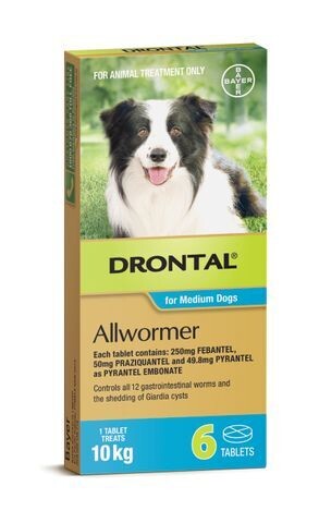 Drontal Dog Allwormer Tablets 10 kg  -  6 tablets