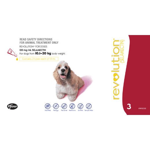 Revolution for Dogs 10.1 kg - 20 kg  -  3 pack or 6 pack