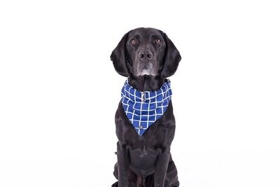 Mog & Bone Dog Bandana - Navy Check Print - Small , Medium or Large