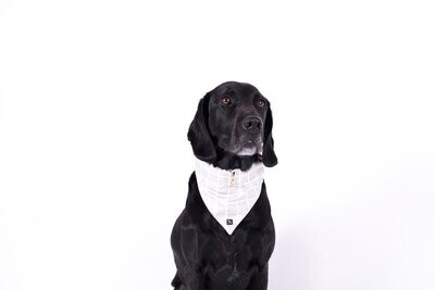 Mog & Bone Dog Bandana - Grey Check - Small , Medium or Large