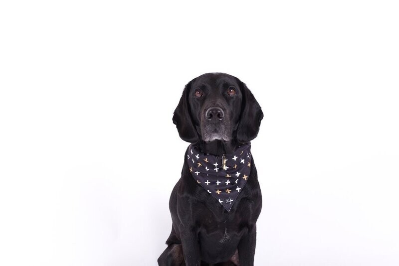 Mog & Bone Dog Bandana -Black Metallic Cross Print    - Small , Medium or Large