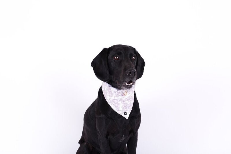 Mog & Bone Dog Bandana -Mocca Leaf - Small , Medium or Large