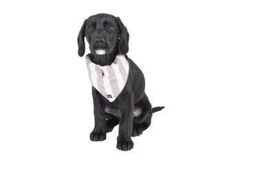 Mog & Bone Dog Bandana -Latte Hampton Strip - Small , Medium or Large