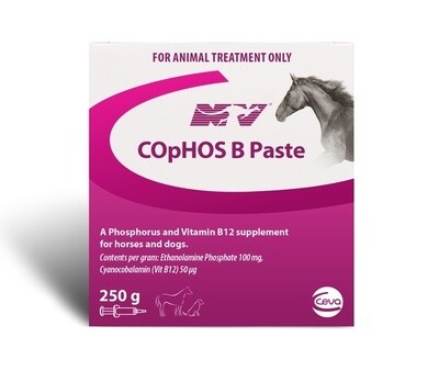 Nature Vet Cophos B Paste  250 grams
