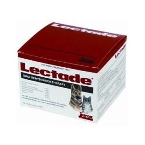 Lectade Sachets Oral Rehydration Therapy  -  64 grams x 12