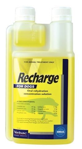 Virbac Recharge for Dogs  -  1 litre