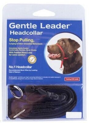 Gentle Leader Head Collar Small - Black , Blue , Purple or Red