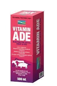 Vitamin ADE Injection   500 ml