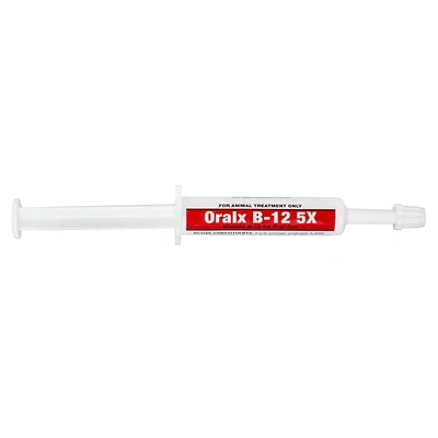 Oralx B-12 6mL