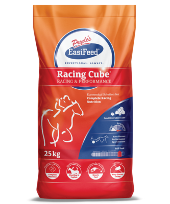 Prydes Racing Cube - Racing & Performance  25 kg