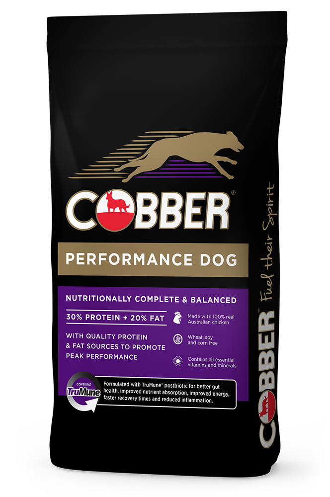 Cobber Performance Nutritionally Complete Balanced Dog Dry Food 20kg